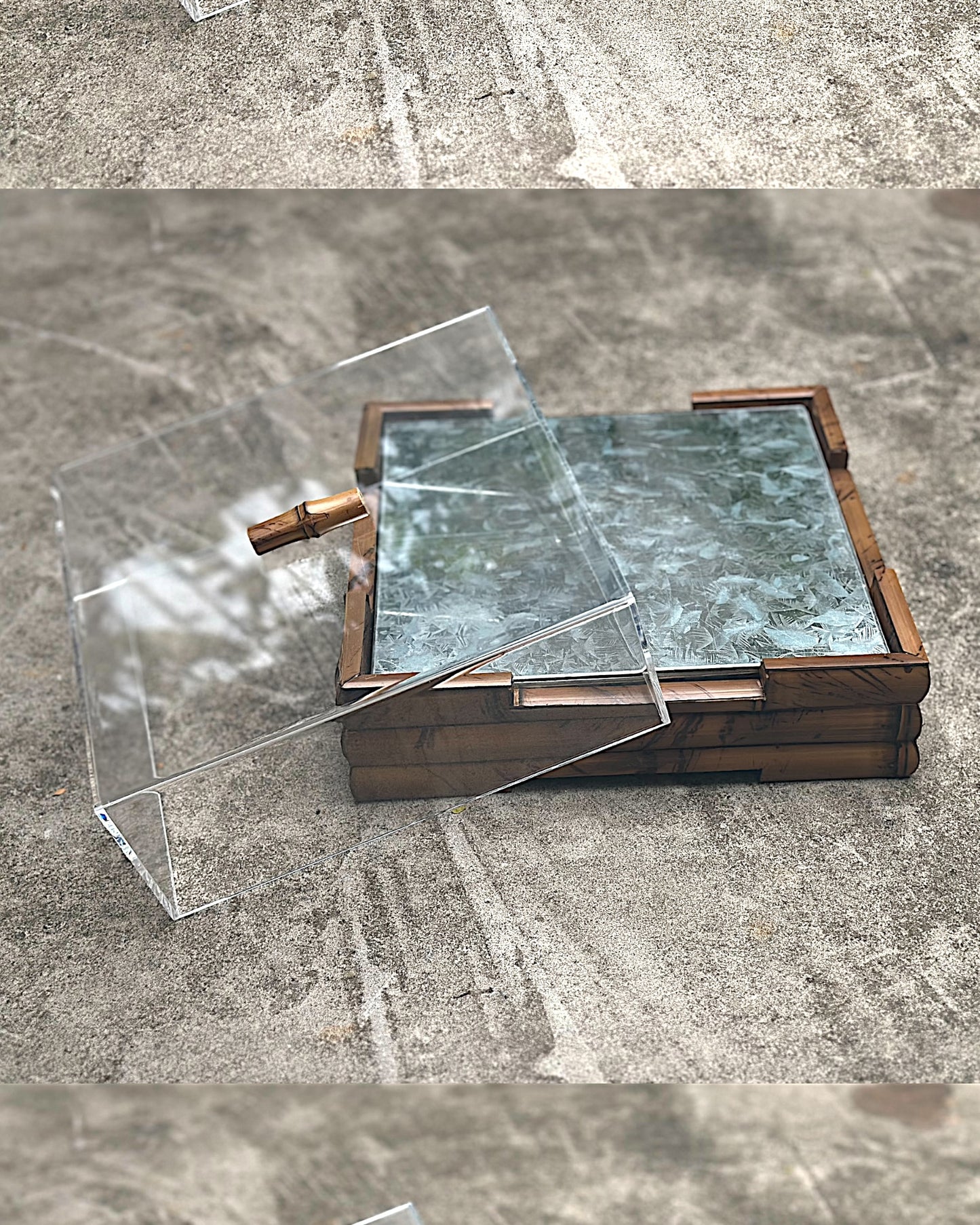 Caixa Térmica Para Frios Tigrada