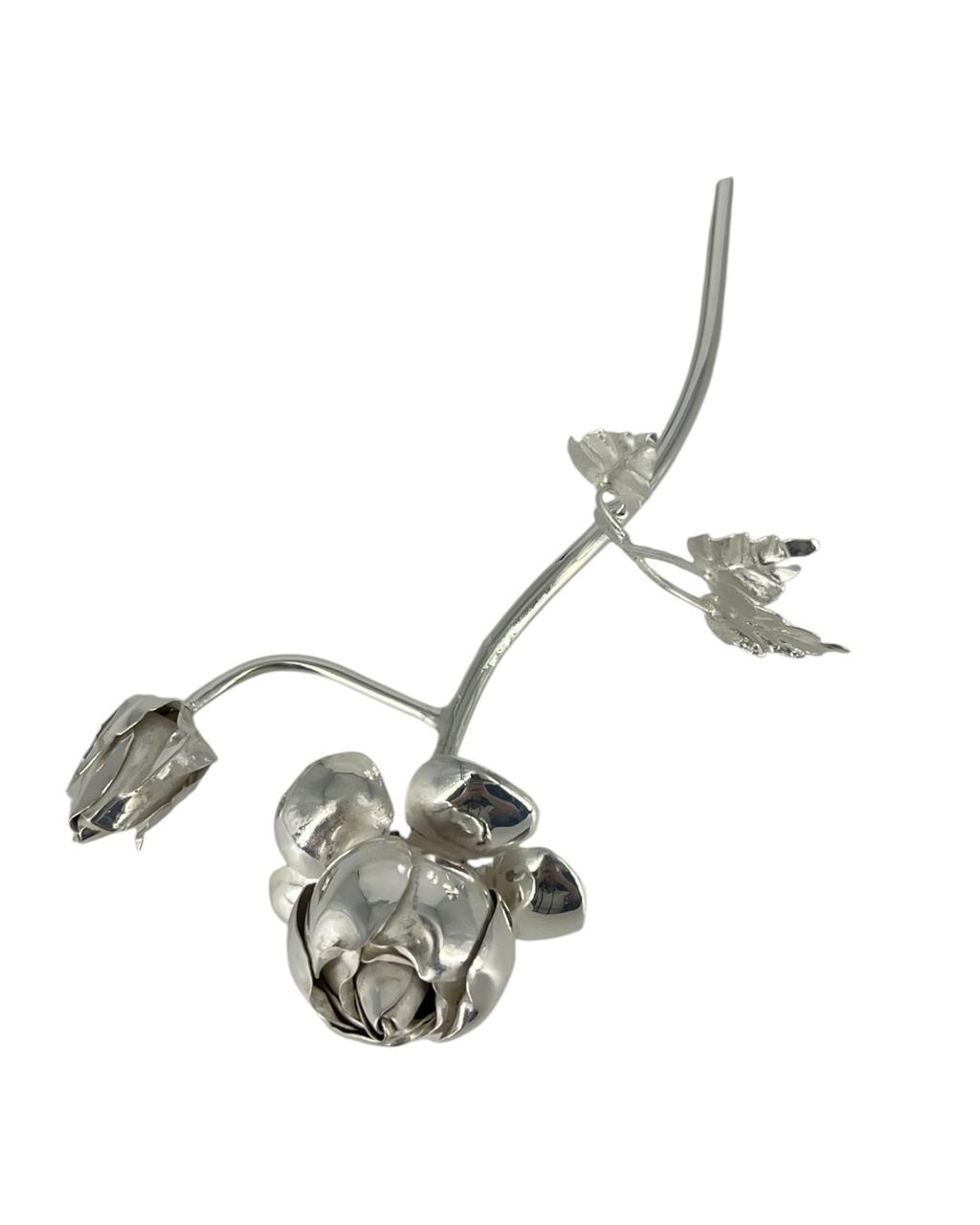 Rosa em Prata II