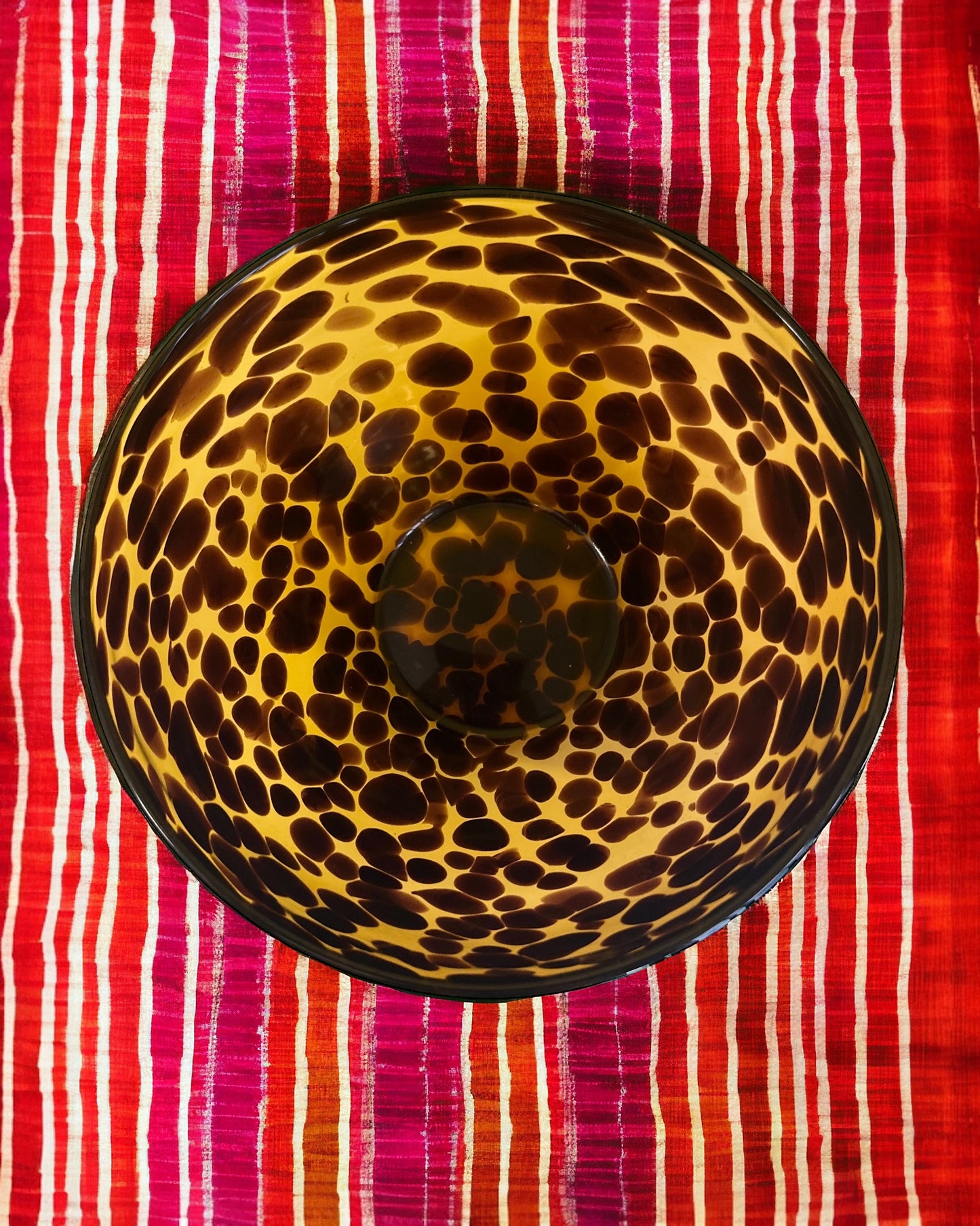 Bowl Tartaruga