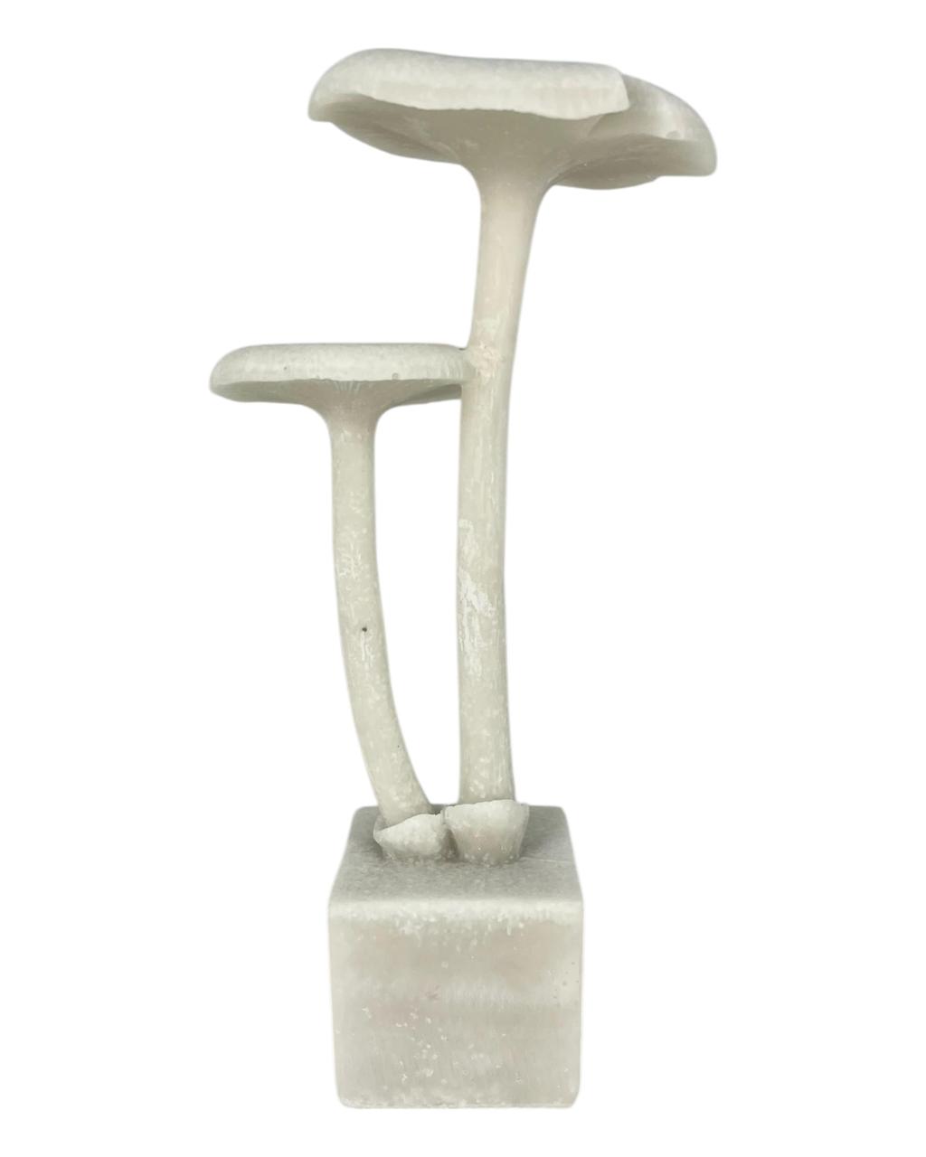Cogumelo Marble