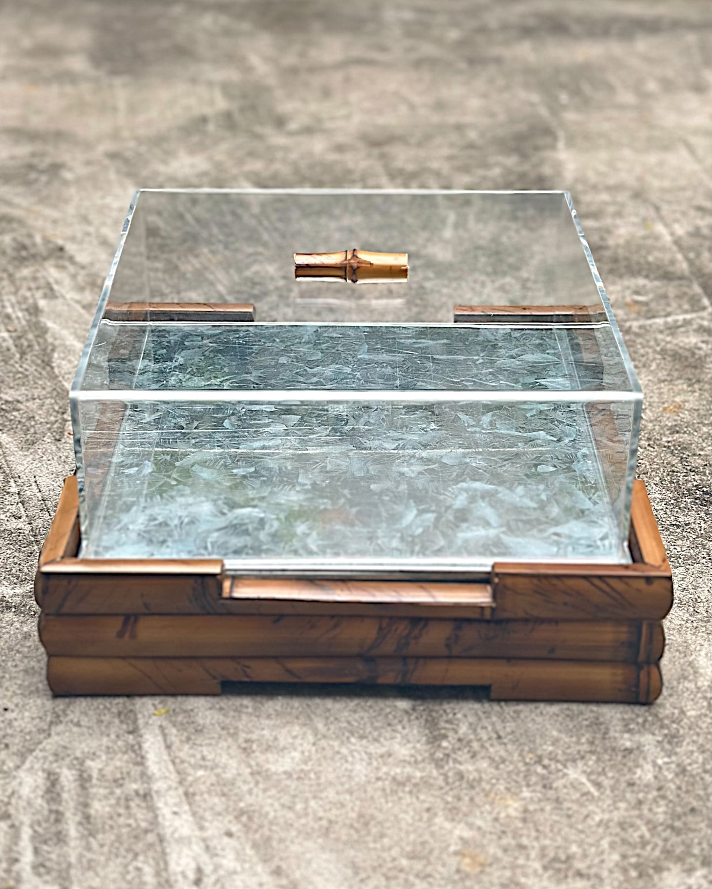 Caixa Térmica Para Frios Tigrada