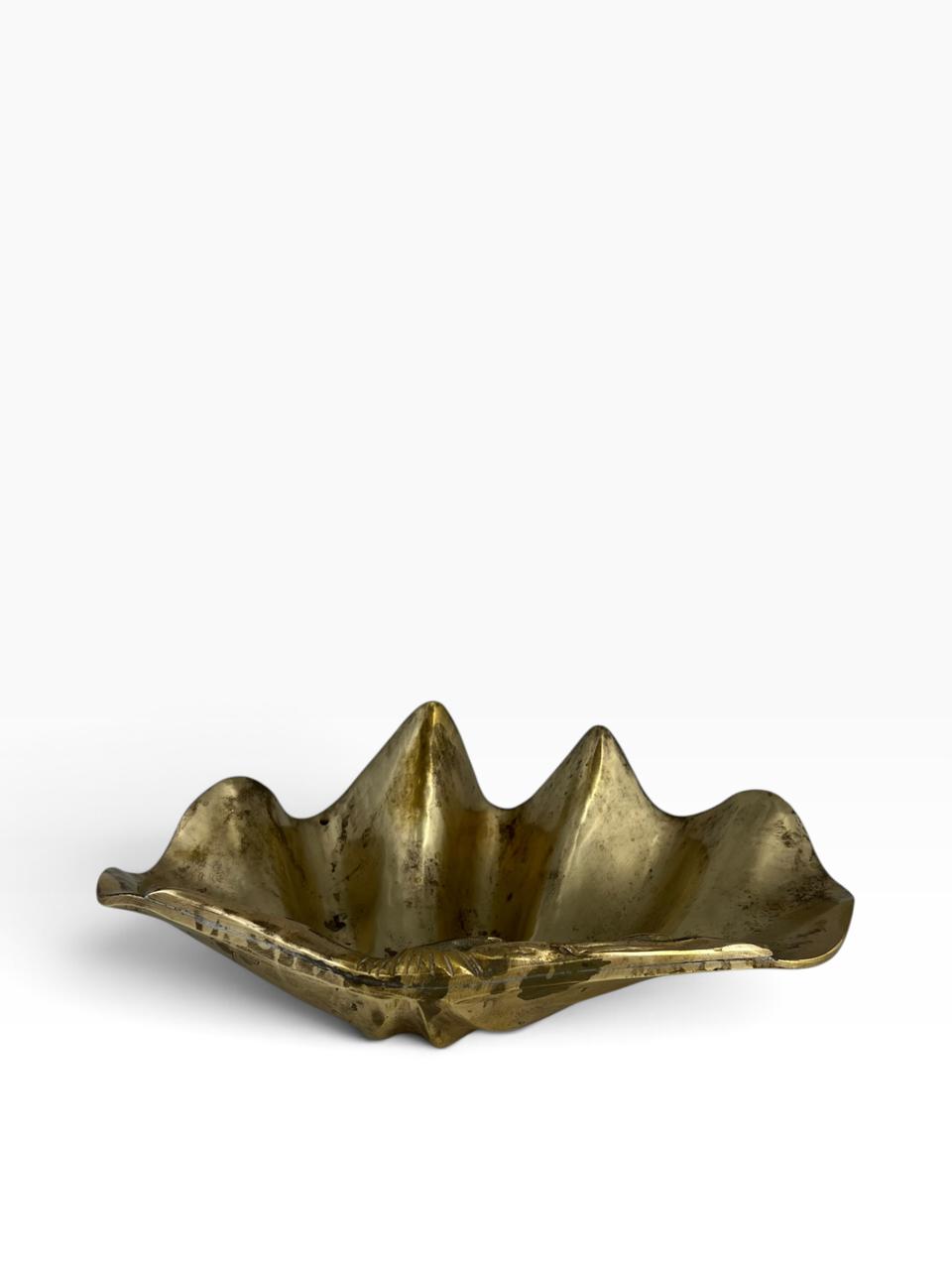 Concha Bronze