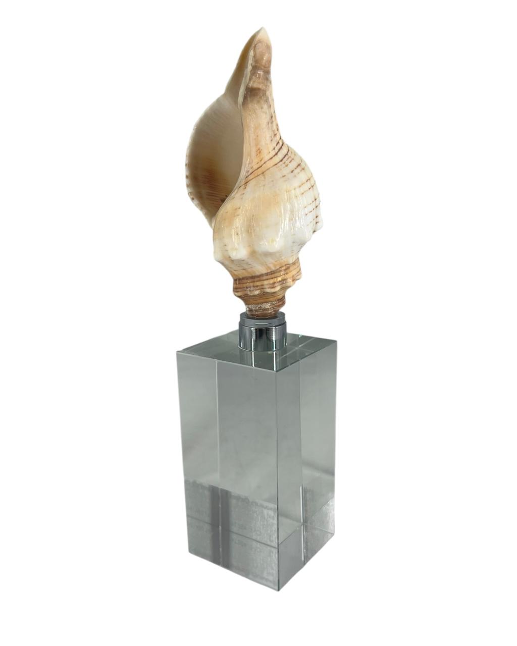 Escultura Concha I