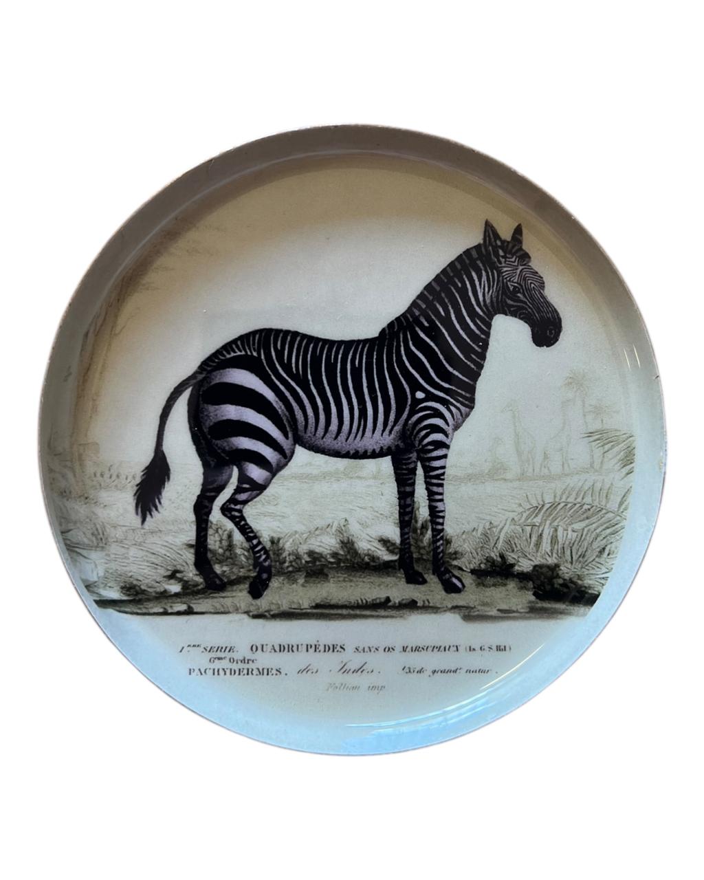 Bandeja Esmaltada Zebra