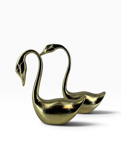 Par de Cisnes