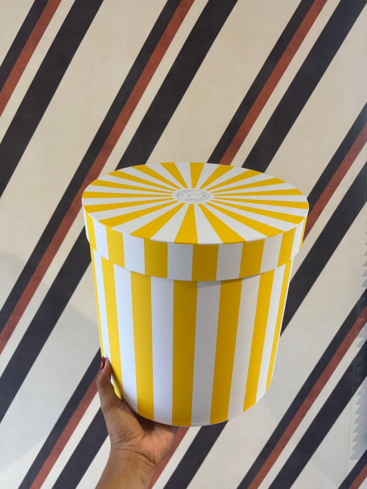 Caixa de Presente P 25x26