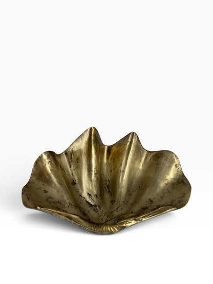 Concha Bronze