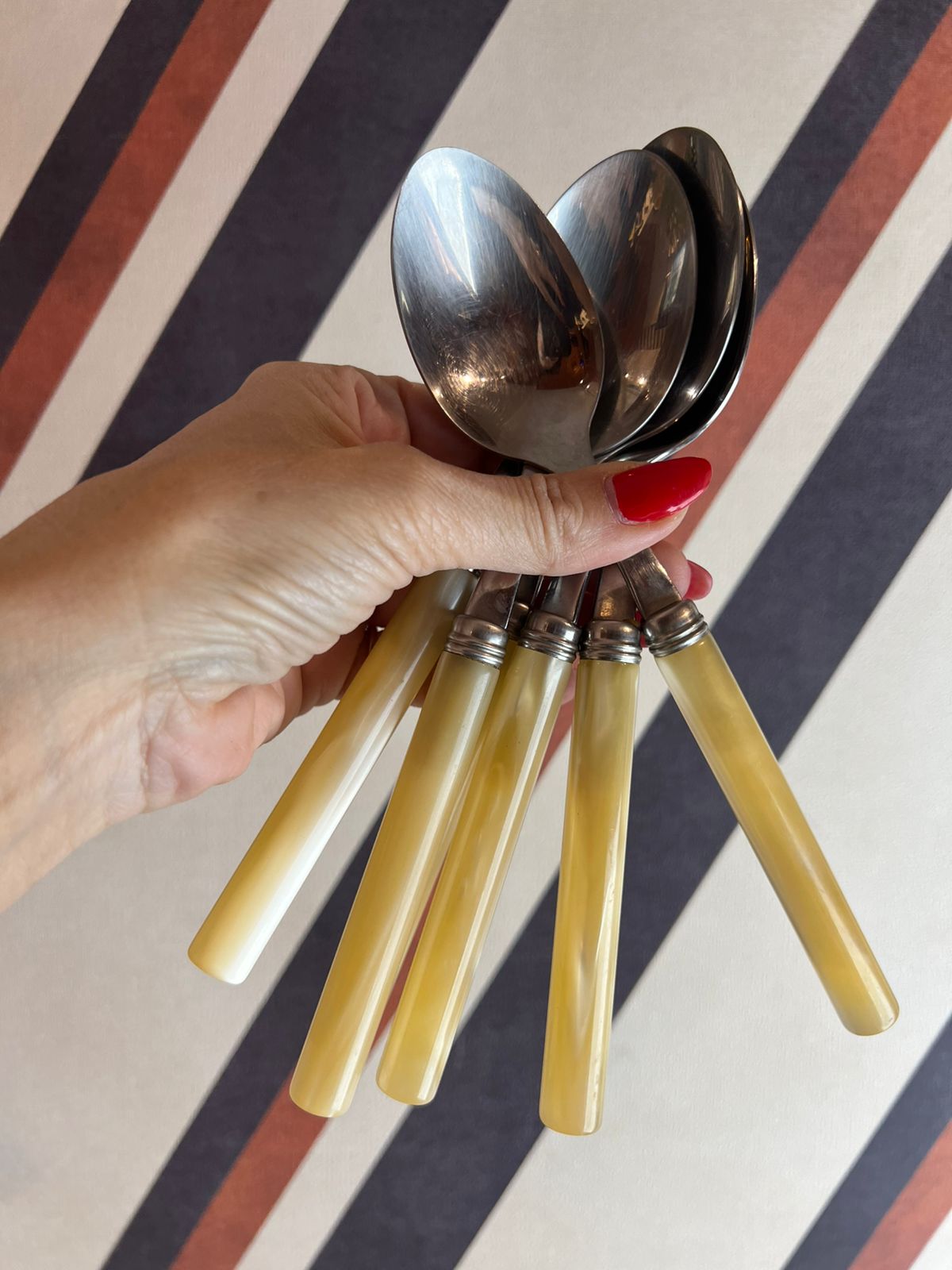 Set de 6 Colheres Galalite Perolado