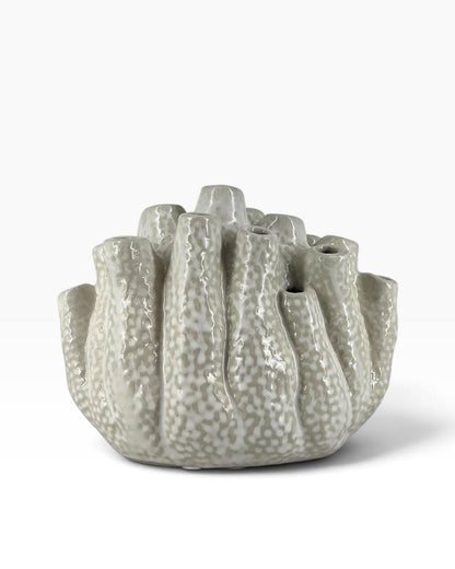 Vaso Coral P
