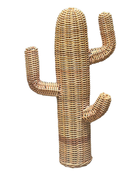 Cactus Fibra Natural