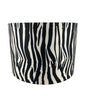 Cúpula Zebra 40x28