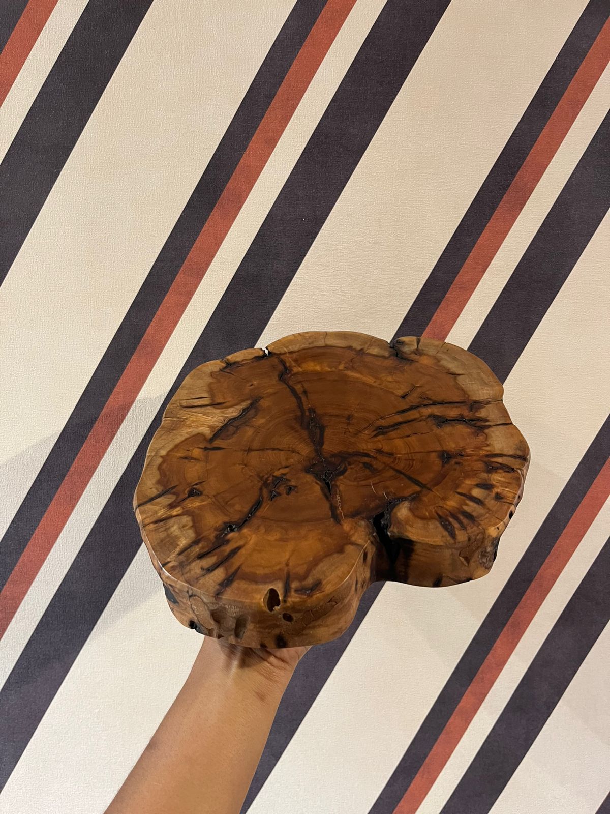 Tábua Madeira Bruta