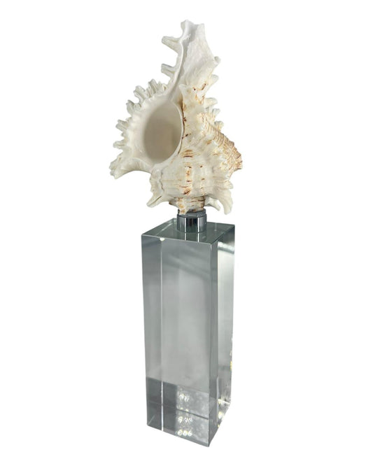 Escultura Concha III
