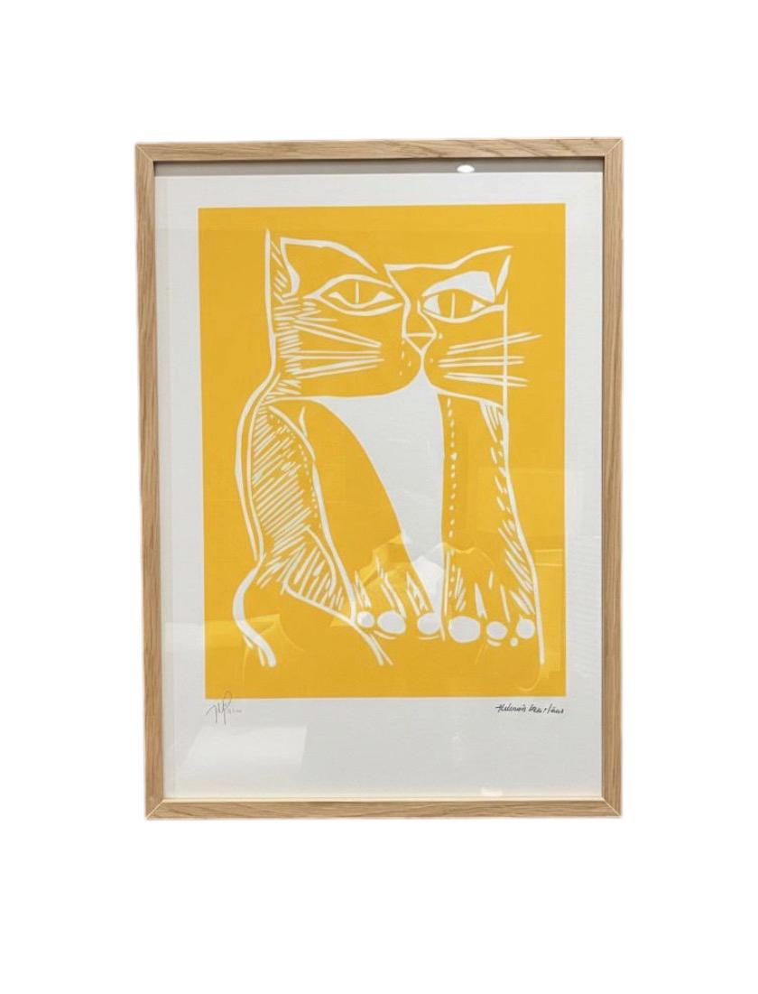 Gato Amarelo 15/100 50x35