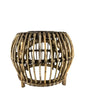 Mesa Rattan Garden