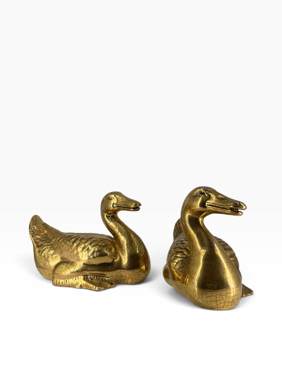 Par de Patos Dourados