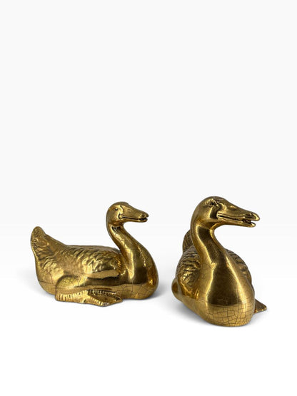 Par de Patos Dourados