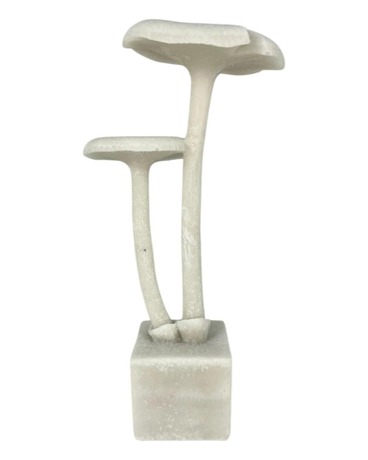 Cogumelo Marble