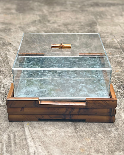Caixa Térmica Para Frios Tigrada