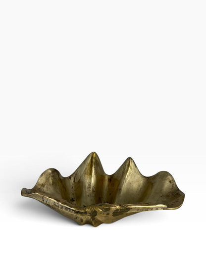 Concha Bronze