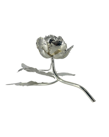 Rosa em Prata III