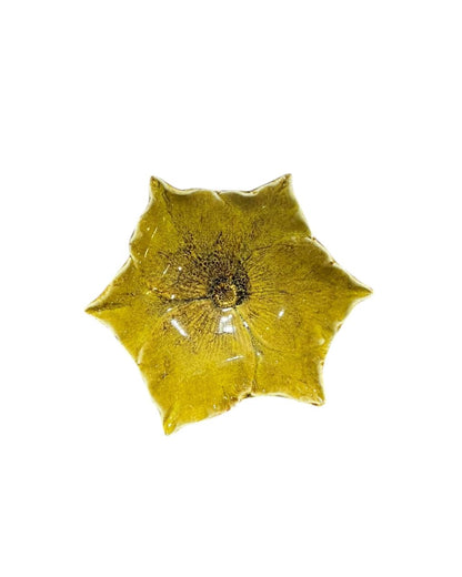 Prato Flor Amarela P