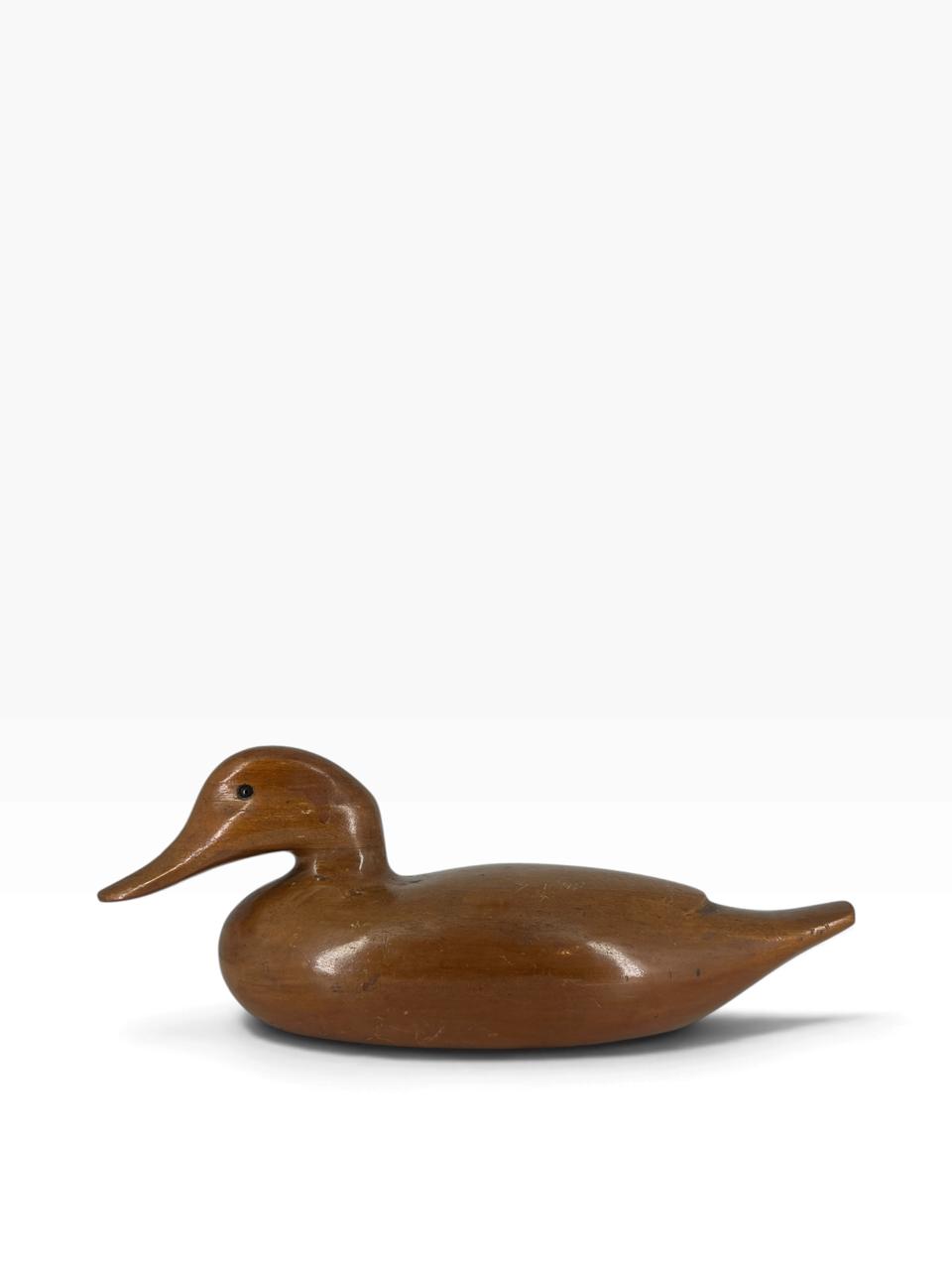 Pato Madeira G