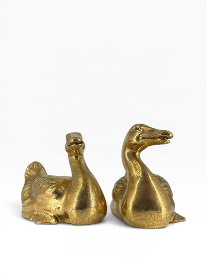 Par de Patos Dourados